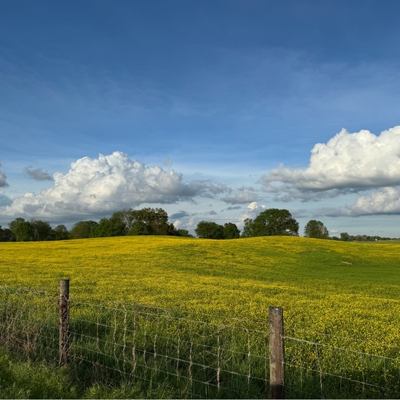 Meet your Posher, Mayra - Picture 3 of 4